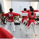 거룡태권도장 이미지