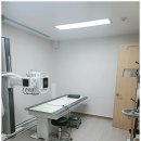 튼튼정형외과의원 이미지