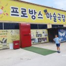 파주프로방스마술극장 네이버블로그