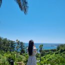 와흘메밀마을 이미지