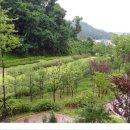 위례자연공인중개사사무소 이미지