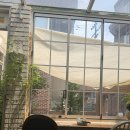 토마토헤어(ToMaTo Hair) | 서울숲 데이트 코스 추천 플르서라구뜨 분위기 좋은 파스타 맛집