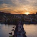 백조민박 이미지