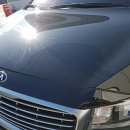 부성광택