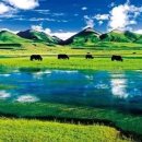 푸른초원 이미지