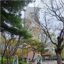 한솔공인중개사사무소 | 신뢰할 수 있는 송강동한솔아파트 매물, 대박공인중개사에서 만나보세요