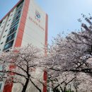 남천동 삼익비치 301동 앞 자전거대여소 이미지