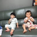 쿵논노