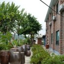 에덴민박 이미지