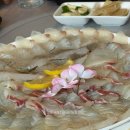 산호횟집도량점