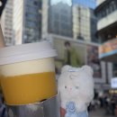 해투네 | 남자에 미쳐서 홍콩 갔다옴 ;; / 제베원 홍콩 해투 후기 ♡
