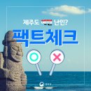 제주도 예멘난민신청자 팩트체크 이미지