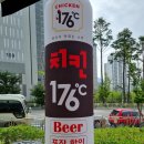 치킨176 이미지