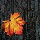 신관초등학교 이미지