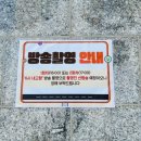 옥터초등학교 | 오이도·거북섬 즐기는 시흥 시티투어 버스 후기 (무료 탑승 꿀팁)
