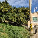 고흥군두원면풍류보건진료소 이미지