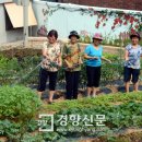 외양경로당 경향신문