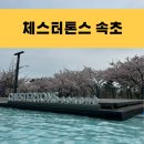 농업협동조합 A동(하나로마트 자갈치점) | 체스터톤스 속초 2박 체크인 D동 B동 장단점 수영장 키즈카페 후기