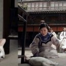 (약혐) 중국드라마 연기력 개쩌는 고양이 이미지
