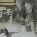 동네책방지적허영