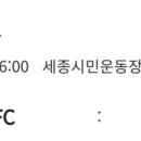 세종시민운동장 보조구장 이미지