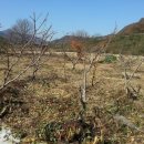 주형농장 이미지