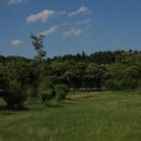 무궁화금호 이미지