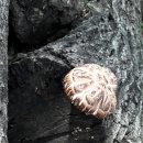 만인농장 이미지