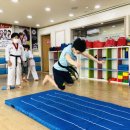 한국체대스타태권도장 이미지