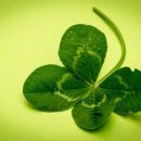 이월한의원 이미지