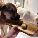 문화사 | 대전 정동문화사 구움과자 견우재 평일 웨이팅 후기