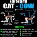 헬스카우 이미지