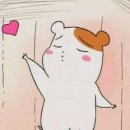 베리굿닥터