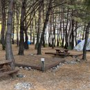 흥터입구 이미지