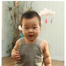 여우별 이미지