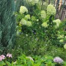 성북구청 앞 이미지