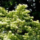 군외초등학교 이미지