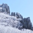 2017년 1월 1일 무등산 신년산행(순천만정원 산악회 2회 산행) *산행완료 이미지