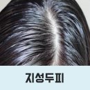 샴푸미용실 이미지