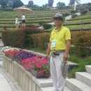 경상대학교 해양과학대학 이미지