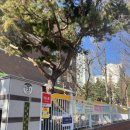 오리초등학교 이미지