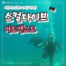 디다이브 | 세부 다이빙샵 추천 스컬다이브 어드밴스드 후기