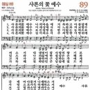 샤론의꽃 이미지