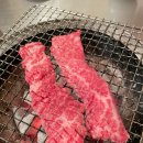 오직갈비만