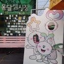 충주옹달샘시장 이미지