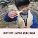 도도팩토리