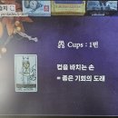 마이라이트 타로학습지 후기 3주차 1일째