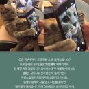 두대로-3 | 울쎄라 가격,효과,후기까지 두대사용 '트윈쎄라 리프팅'