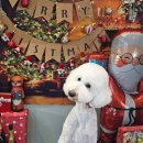 메종VIP203 이미지