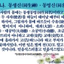 (2023-7월) 『동생동명어서(同生同名御書)』-(3)배독의 포인트 이미지